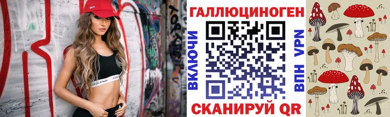 Псилоцибиновые грибы Psilocybe Почеп